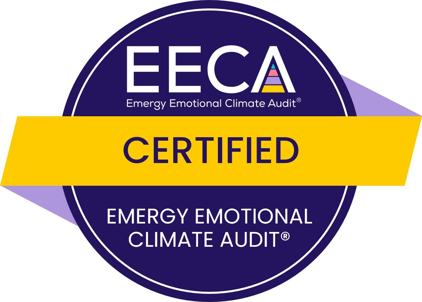 Emergy Emotional Climate Audit®️
